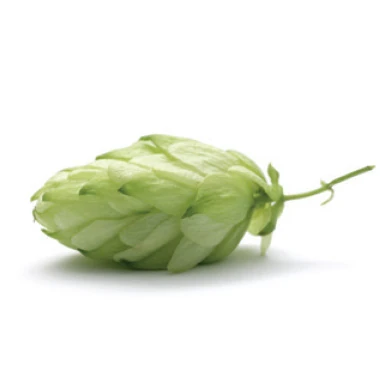 Ingrédient Rhodiolife pour le soutien cognitif, l'adaptogène et le stress